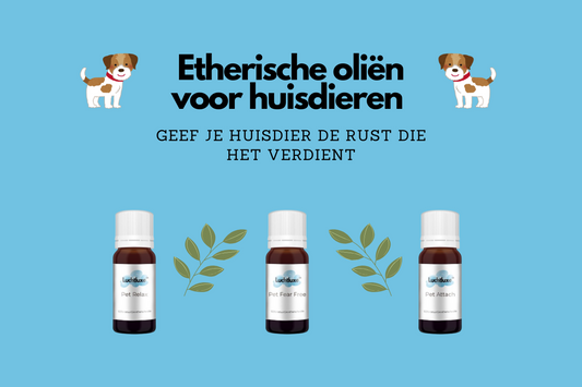 Etherische olie voor huisdieren, met een illustratie van etherische oliën speciaal voor dieren