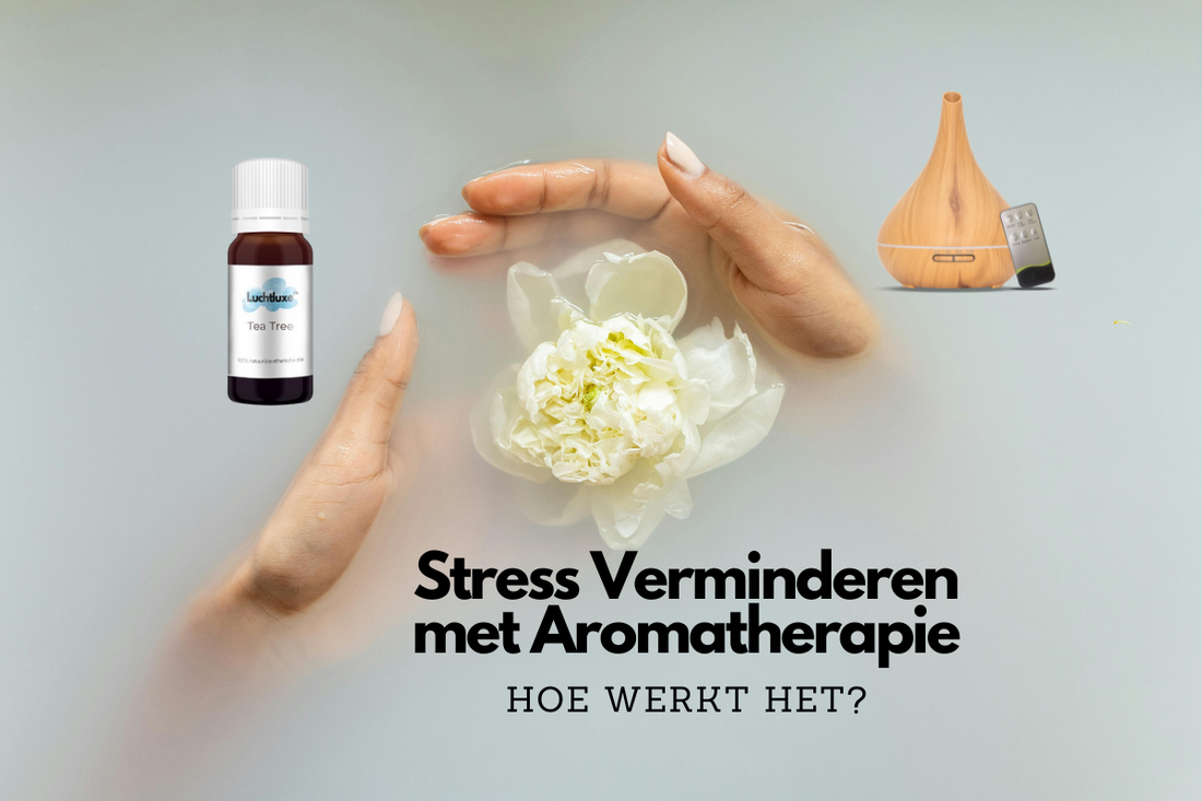 Afbeelding van een aroma diffuser, een flesje tea tree essentiële olie en ontspannende handen in water met een bloem, gericht op stress verminderen met aromatherapie.