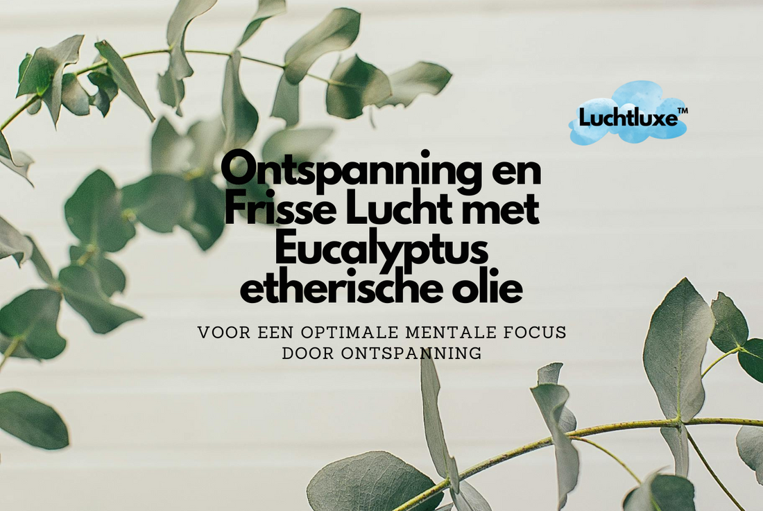 Ontspanning en frisse lucht met eucalyptus etherische olie | Luchtluxe™ biedt natuurlijke geur voor mentale focus en ontspanning door zuivere eucalyptusolie.