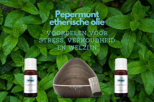 Pepermunt etherische olie met diffuser en voordelen voor stress en welzijn.