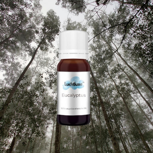 Een flesje met etherische olie eucalyptus, geschikt voor gebruik in aroma diffusers, met een natuurlijke geur voor ontspanning en welzijn.