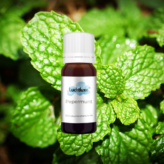 Een flesje met etherische olie, geschikt voor gebruik in aroma diffusers, met een natuurlijke geur voor ontspanning en welzijn.