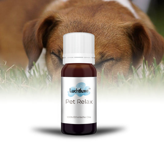 Een  flesje met etherische olie voor dieren, geschikt voor gebruik in aroma diffusers, met een natuurlijke geur voor ontspanning en welzijn.