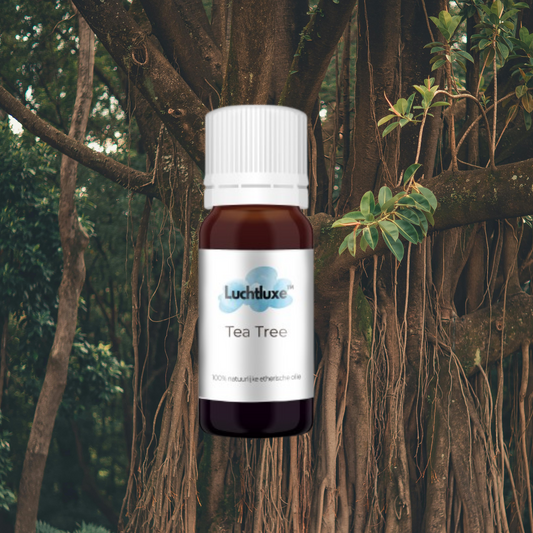 Een flesje met etherische olie, geschikt voor gebruik in aroma diffusers, met een natuurlijke geur voor ontspanning en welzijn.